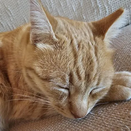 Casa 컨트리하우스