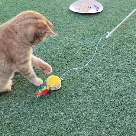 컨트리하우스 Casa *